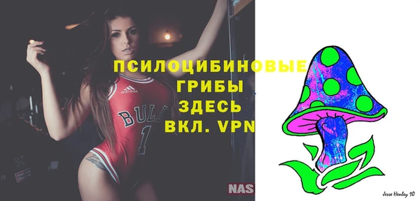 СК Зерноград