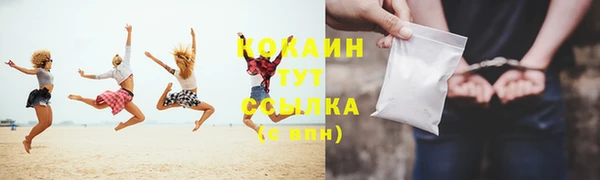 прущие грибы Заволжье