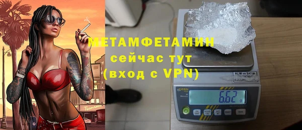 прущие грибы Заволжье
